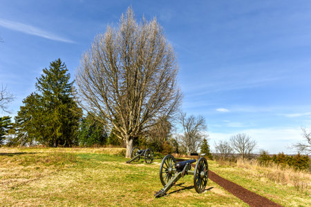 Cannons on a Battlefield in Fredericksburg, Virginiaの写真素材