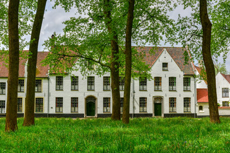 Medieval white houses in the Princely Beguinage (Begijnhof) Ten Wijngaerde  in Bruges (Brugge), Belgium.の写真素材