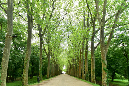 Gardens around Chateau de Chenonceau, near Chenonceaux in Franceの写真素材