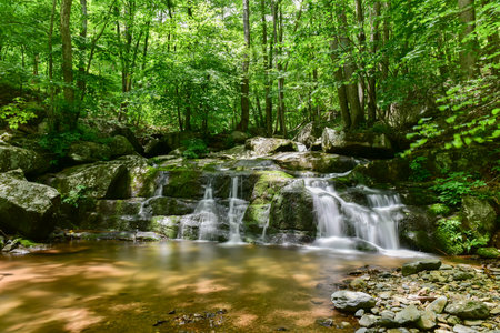 Waterfalls along a hiking trail in the Shenandoah Valley and Blue Ridge Mountains from Shenandoah National Park, Virginiaの写真素材