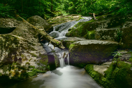 Waterfalls along a hiking trail in the Shenandoah Valley and Blue Ridge Mountains from Shenandoah National Park, Virginiaの写真素材