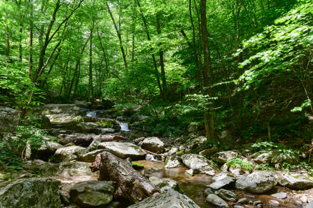 Waterfalls along a hiking trail in the Shenandoah Valley and Blue Ridge Mountains from Shenandoah National Park, Virginiaの写真素材