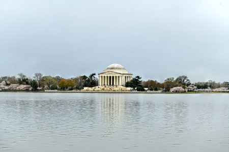 Cherry blossoms at the Tidal Basin and Jefferson Memorial during spring in Washington, DC.のeditorial素材