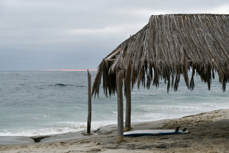 The landmark Windansea Surf Shack is a palm-covered shack that was originally constructed in 1946