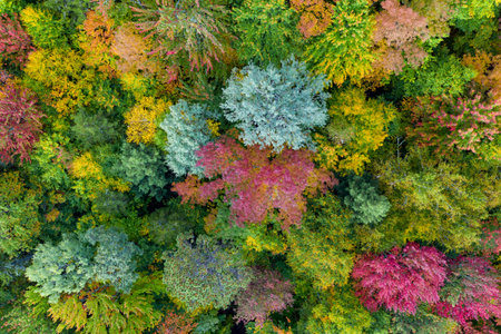 Aerial view of Vermont and the surrounding area during peak foliage in Fall.の写真素材