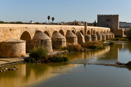 View of the Roman Bridge, a stone bridge that spans the river Guadalquivir in Cordoba, Spain.の写真素材