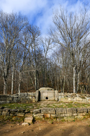 Gelendzhik district, ancient dolmens in the valley of the river Zhane.の写真素材