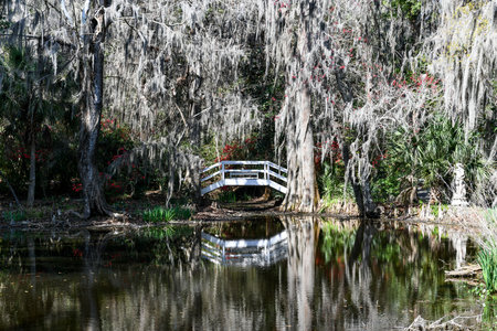 Magnolia Plantation and Garden in Charleston, South Carolina. It is one of the oldest plantations in the South, and listed on the National Register of Historic Places.の写真素材