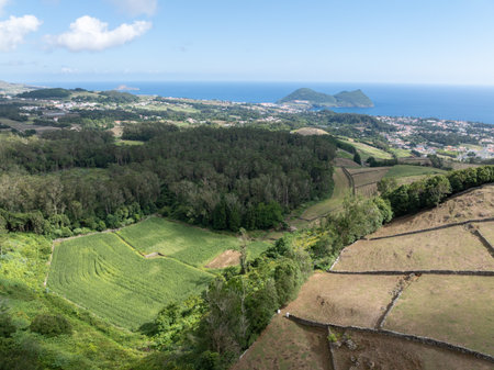 Sao Bartolomeu de Regatos in Veredas. Lush green landscapes, rolling hills, traditional houses, and scenic rural roads characteristic of Terceira, Azores.の写真素材