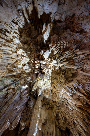 Cayman Crystal Caves in the  Grand Cayman Islands. Situated in a lush tropical forest in Northside,...