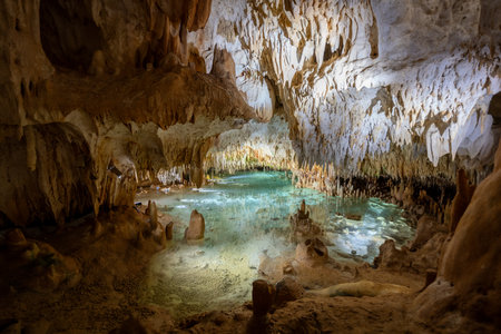 Cayman Crystal Caves in the  Grand Cayman Islands. Situated in a lush tropical forest in Northside, Grand Cayman.の写真素材