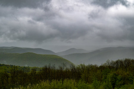 Beautiful natural landscape of the Florida State Forest in Massachusetts on a cloudy, wet day.の写真素材
