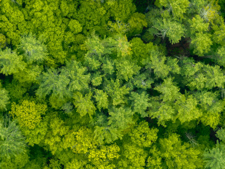 Aerial view of the Berkshire Mountains from Olivias Overlook, West Stockbridge, Massachusettsの写真素材