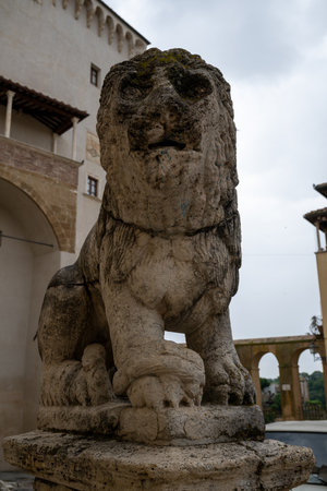 Stone lion statue in Republic Square, Pitigliano, Italy. The sculpture's weathered surface contrasts the surrounding medieval architecture.の写真素材
