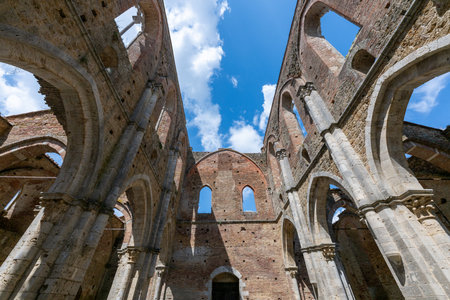 Gothic Cistercian nave ruins of the 13th-century Abbazia di San Galgano near Chiusdino, stone arches open to blue summer sky.の写真素材
