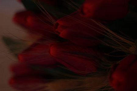 dark rosesの写真素材