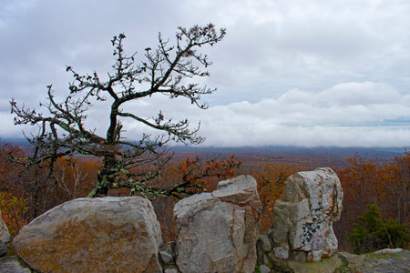 Cloudy skies, large stones, and lush Autumn foliage at High Point Monument area of High Point State Park in New Jersey, USA -03の写真素材