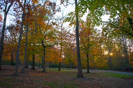 Autumn foliage displays of bright colors in Roosevelt Park, Edison, New Jersey, USA -02の写真素材