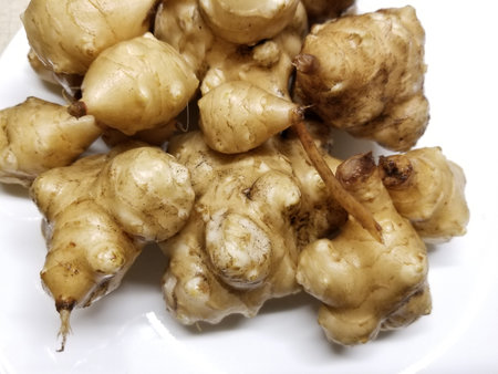 Sunchokes, or, Jerusalem Artichokes, freshly washed and ready for cooking -01の写真素材