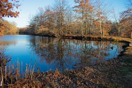 Scenic areas along the Lenape Trail by the Mill Pond Park at Plainsboro, New Jersey -01の写真素材