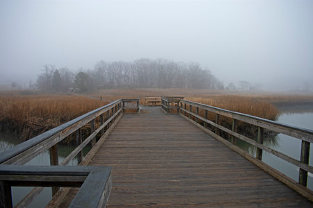 A foggy morning at the crabbing bridge at Perrine Road trail in Cheesequake State Park, Matawan, New Jersey -05の写真素材