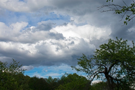Stormy cumulo-nimbus clouds threatening a local park in the suburban town of Old Bridge, New Jersey, USA -08の写真素材