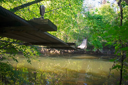 The swinging bridge at Institute Woods in Princeton, New Jersey, on a sunny afternoon in early autumn -06の写真素材