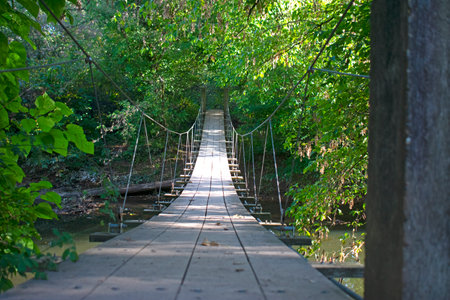 The swinging bridge at Institute Woods in Princeton, New Jersey, on a sunny afternoon in early autumn -04の写真素材