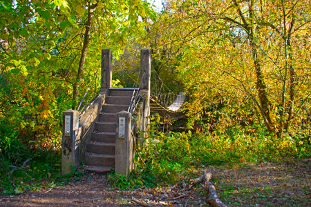 The swinging bridge at Institute Woods in Princeton, New Jersey, on a sunny afternoon in early autumn -08の写真素材