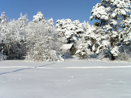 Winter landscape in Kareliya: a winter  wood and the house of the forester                                の写真素材