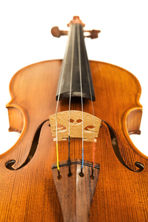 Close-up picture of the old italian violin over white