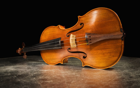 Picture of the old italian violin on a silver backgroundの写真素材