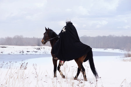 Medieval knight of St. John (Hospitallers) on a bay horseの写真素材