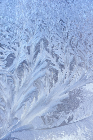 Frostwork. Close-up pictures of the frostwork on the window. 