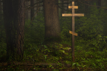 Wooden cross in the misty forestの写真素材