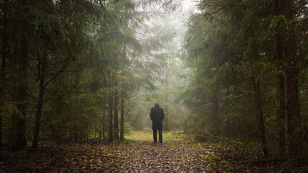 Man walking in a misty forestの写真素材