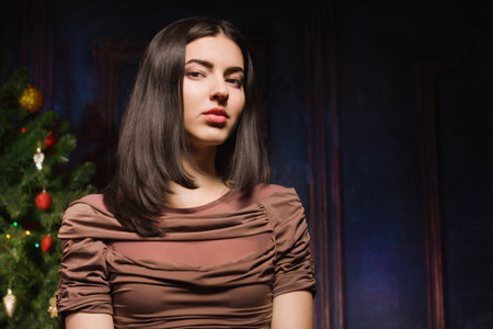 Beautiful brunette in the christmas interiorの写真素材