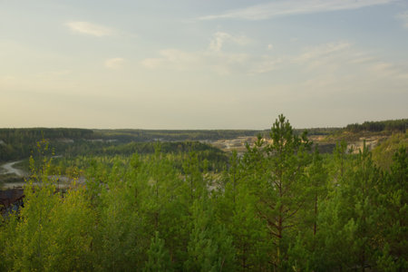Summer landscape. Abandoned sand quarry