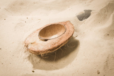 The coconut on the white sand beachの写真素材