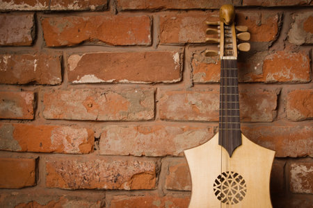 Renaissance lute (citole) in a dark roomの写真素材