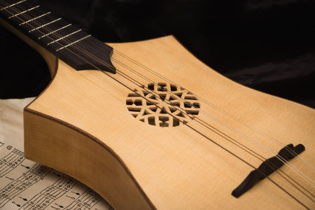 Renaissance lute (citole) with musical notes in retro style.の写真素材