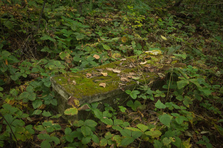 Old gravestone on ancient russian graveyardの写真素材