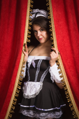 Portrait of the young sexy chambermaid. Pin up style.の写真素材
