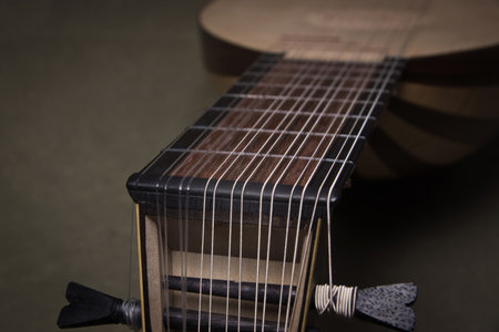 Lute of the 16th century. Close-up details