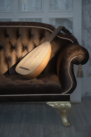 Musical still life in the Renaissance style with luteの写真素材