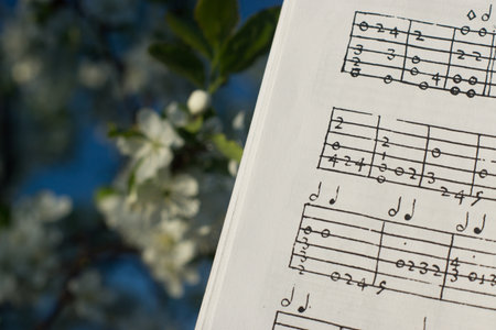 Renaissance lute tablature. A large image of the method of musical notation of the 16th centuryの写真素材
