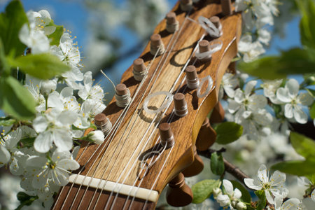 Vihuela de mano of the 16th century. Close-up detailsの写真素材