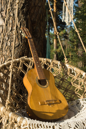 Old guitar and dreamcatchers on a pine branch in the summer forestの写真素材