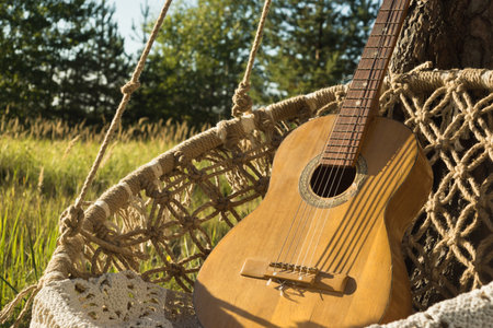 Old guitar and dreamcatchers on a pine branch in the summer forestの写真素材