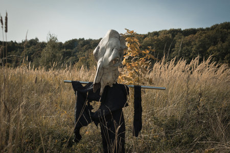 Gothic concept. Cow skull on a pole in a summer fieldの写真素材